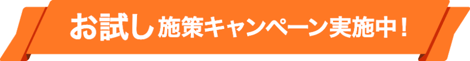 お試し施策キャンペーン